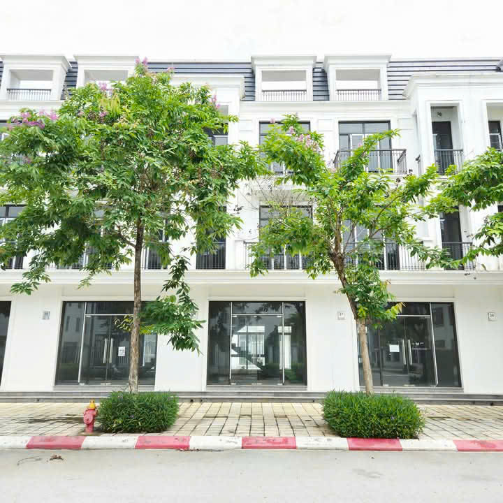 03 lô đất đấu giá, tại điểm X1, Thôn Văn Lôi, Xã Tam Đồng, Huyện Mê Linh, TP Hà Nội - Ảnh 3