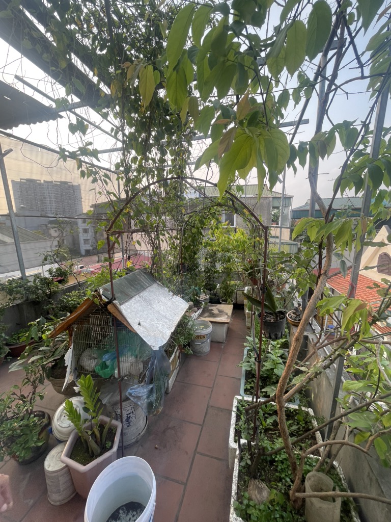 BÁN NHÀ KIM GIANG, HOÀNG MAI, PHÂN LÔ QUÂN ĐỘI, Ô TÔ ĐỖ CỬA, 38M2, 8.75TỶ(CTL) - Ảnh 3
