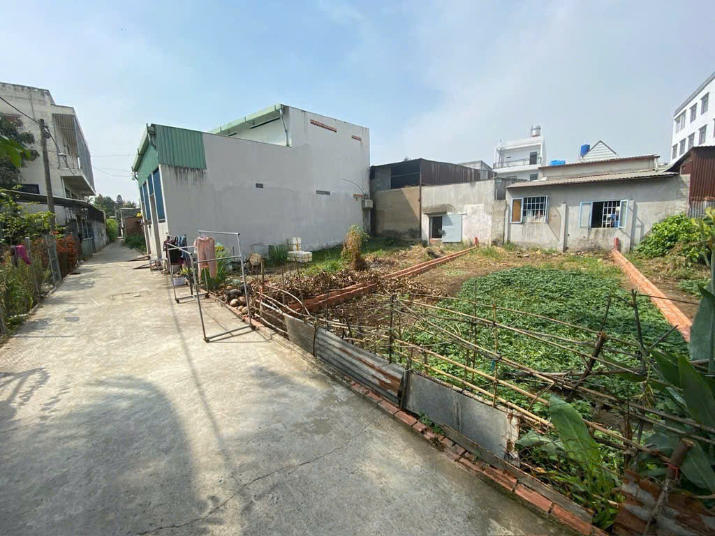 Bán gấp đất thổ cư 96m2 sát Bách Hoá Xanh Bình Chánh - Ảnh 1