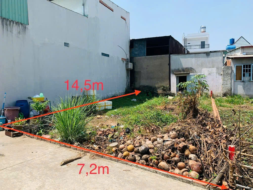 Bán gấp đất thổ cư 96m2 sát Bách Hoá Xanh Bình Chánh - Ảnh 2