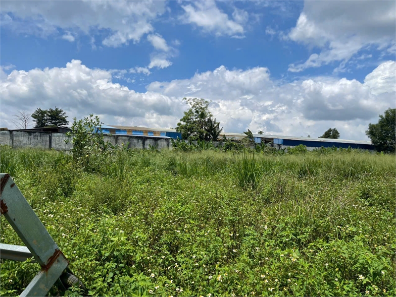D239 chuyển nhượng quỹ đất đẹp, sử dụng lâu dài tặng bản thiết kế nhà xưởng - Ảnh 2