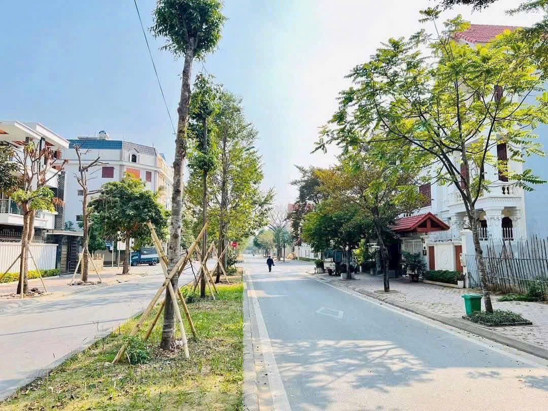 Bán lô đất nhà vườn đường đôi Nguyễn Cao, KĐT Tuệ Tĩnh, TP HD, 150m2, mt 8m, 9.x tỷ - Ảnh chính