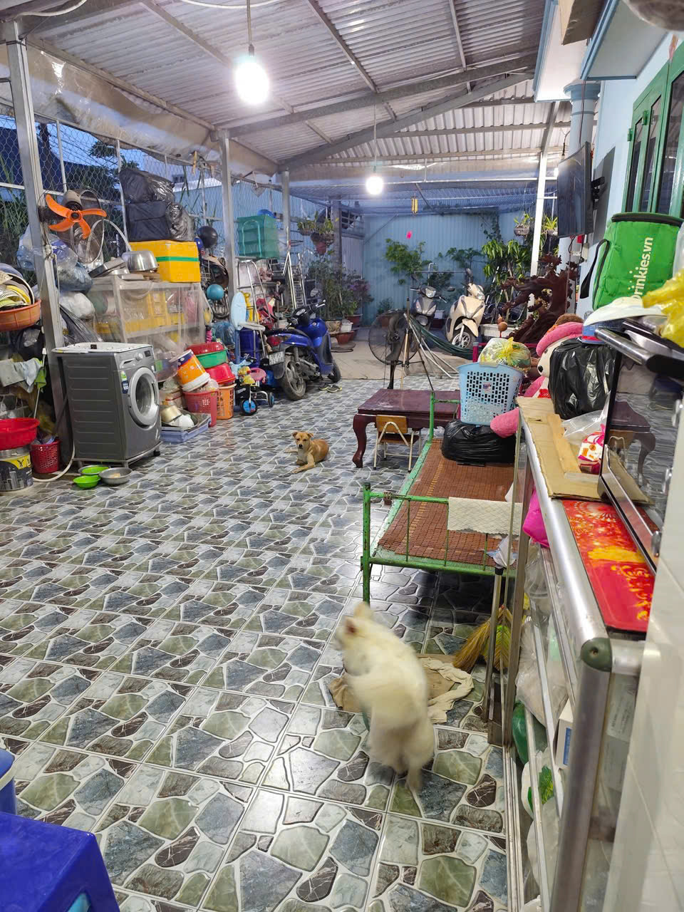 CHÍNH CHỦ CẦN BÁN NHÀ ở 325 Ấp Long Thanh, xã Long Trạch, Cần Đước, Long An - Ảnh 2