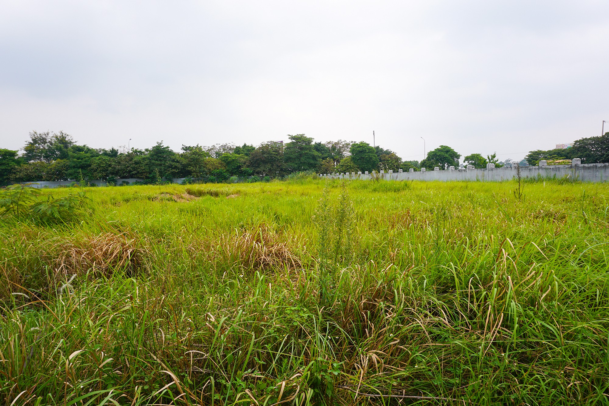 Bán 3500m2 đất cụm công nghiệp Ninh Hiệp, Gia Lâm, Hà Nội. Lô 2 mặt tiền - Ảnh chính