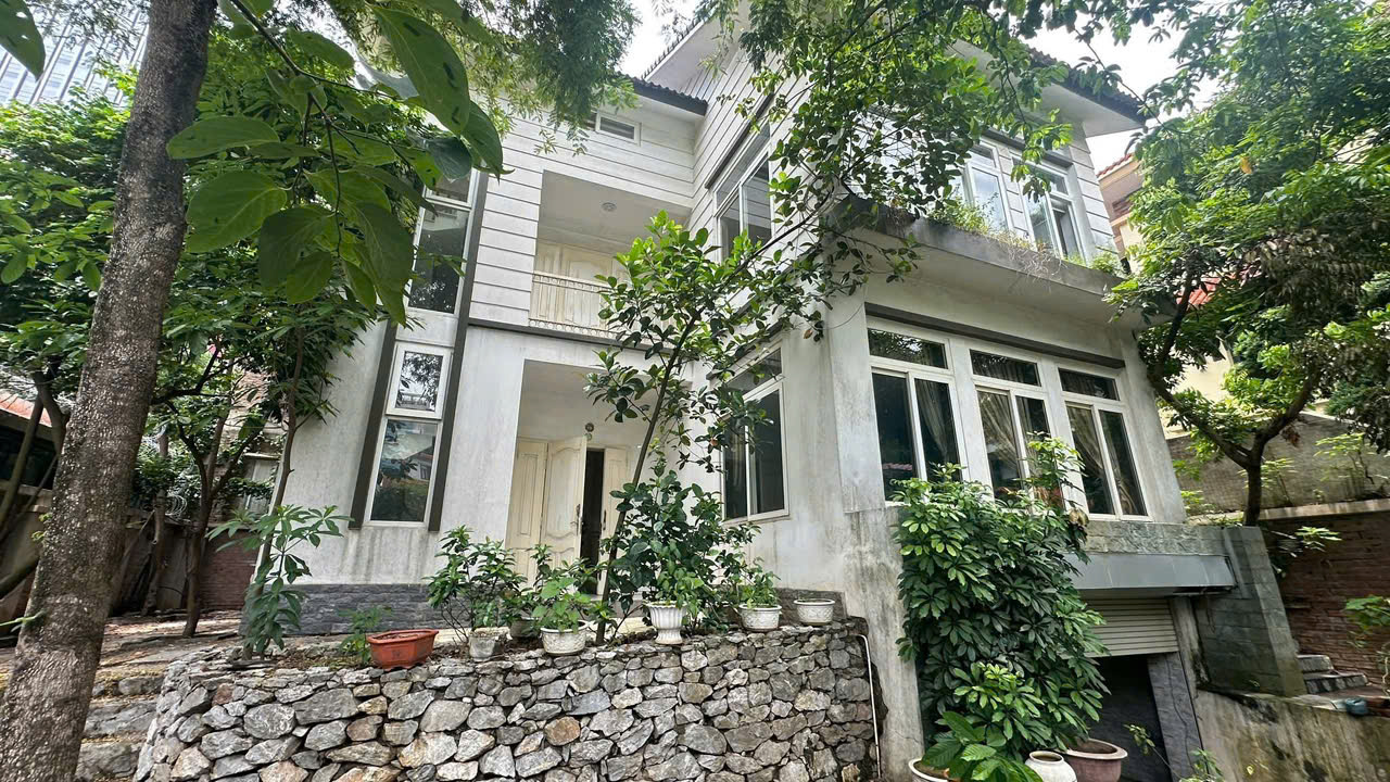 Mặt phố Nguyễn Đức Cảnh,Hoàng Mai,kinh doanh sầm uất,mặt tiền khủng 87 m2,17 tỷ - Ảnh chính