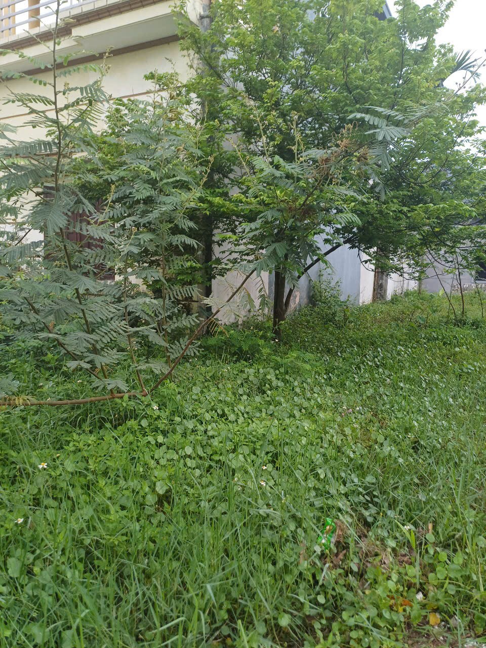 SỞ HỮU NGAY LÔ ĐẤT THỔ CƯ ĐẸP - GIÁ TỐT - Vị Trí Đắc Địa Tại Thôn Phú Minh, Xã Minh Phú, Sóc Sơn, HN - Ảnh 2