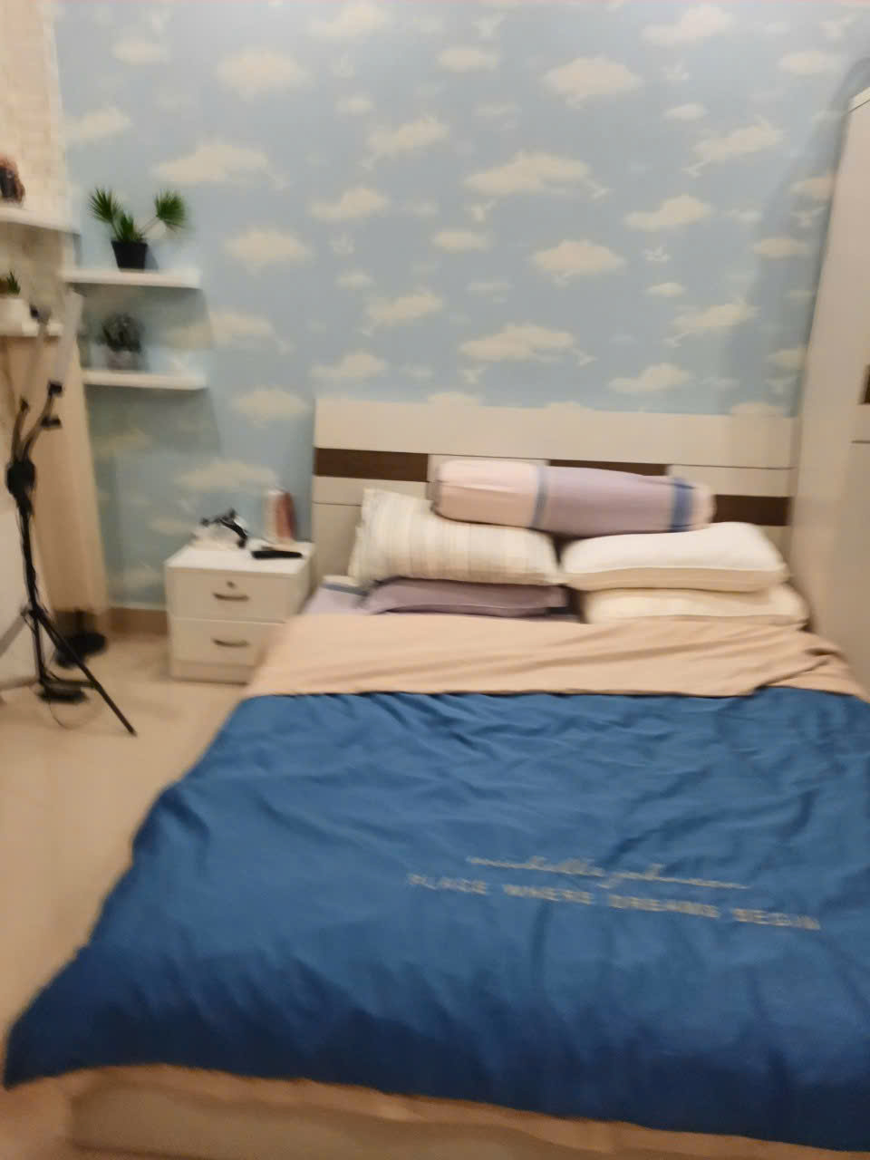 Bán Nhà 4 Tầng Trương Đình Hội Quận 8 nhỉnh 5 tỷ - Ảnh 2