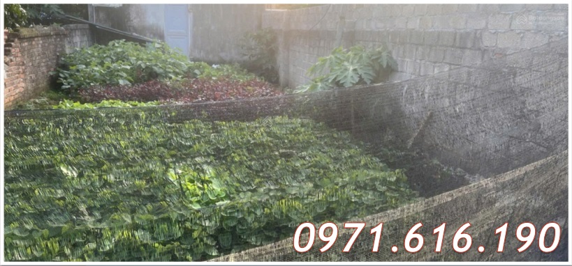 ⭐Chính chủ bán đất vị trí đẹp tại trung tâm Xuân Mai, Chương Mỹ, Hà Nội, 2,55tỷ; 0971616190 - Ảnh chính