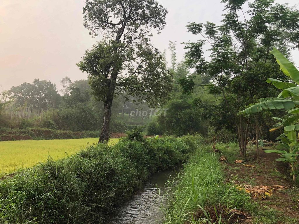 SIÊU PHẨM BIỆT THỰ SÂN VƯỜN – KHU NGHỈ DƯỠNG TUYỆT ĐẸP TẠI PLEIKU - Ảnh 4