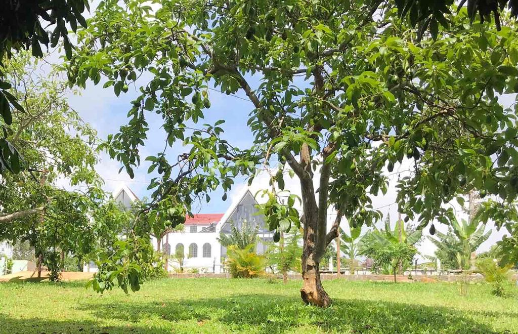 SIÊU PHẨM BIỆT THỰ SÂN VƯỜN – KHU NGHỈ DƯỠNG TUYỆT ĐẸP TẠI PLEIKU - Ảnh 3