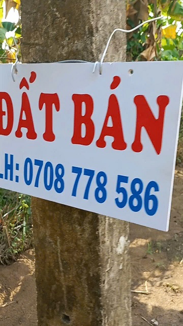 ►  BÁN ĐẤT THỔ CƯ GIÁ TỐT – GẦN QUỐC LỘ 80 - Ảnh chính