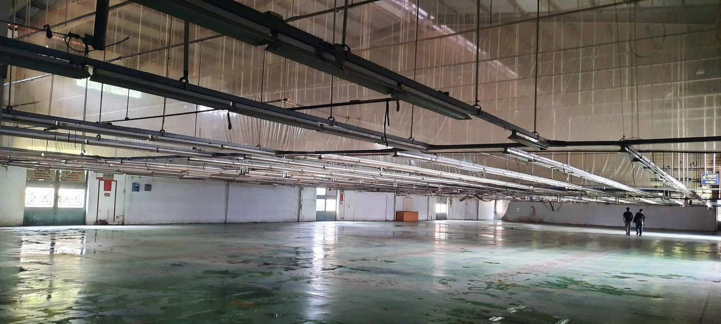 Bán nhà mặt tiền 60x131m giá 65 tỷ Đường Tỉnh Lộ 15 - Ảnh 1