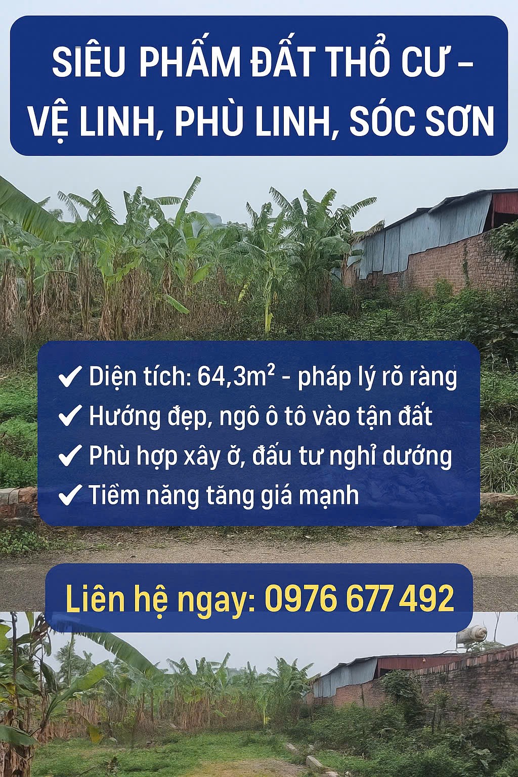 ĐẤT ĐẸP GIÁ MỀM – KHÔNG MUA LÀ PHÍ CẢ THANH XUÂN! 64m Vệ Linh-Phù Linh đường trải nhựa - Ảnh 2