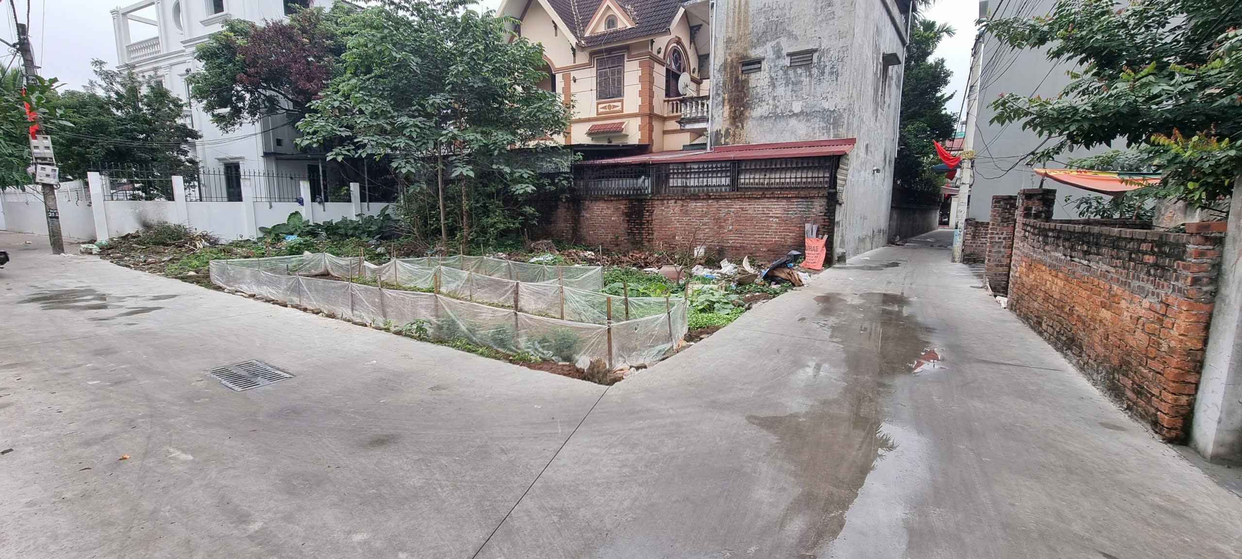 BÁN ĐẤT 40.1M2 CỔ DƯƠNG TIÊN DƯƠNG ĐÔNG ANH - THÔNG Ô TÔ - GIÁ HƠN 3 TỶ - Ảnh 3