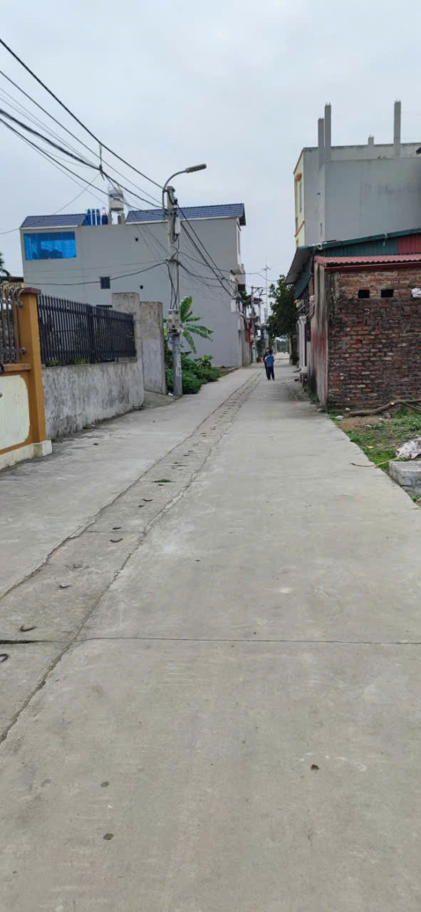 Bán Đất Vị Trí Vàng - Tổ Dân Phố 9, Thị Trấn Quang Minh, Mê Linh, Hà Nội - Ảnh chính