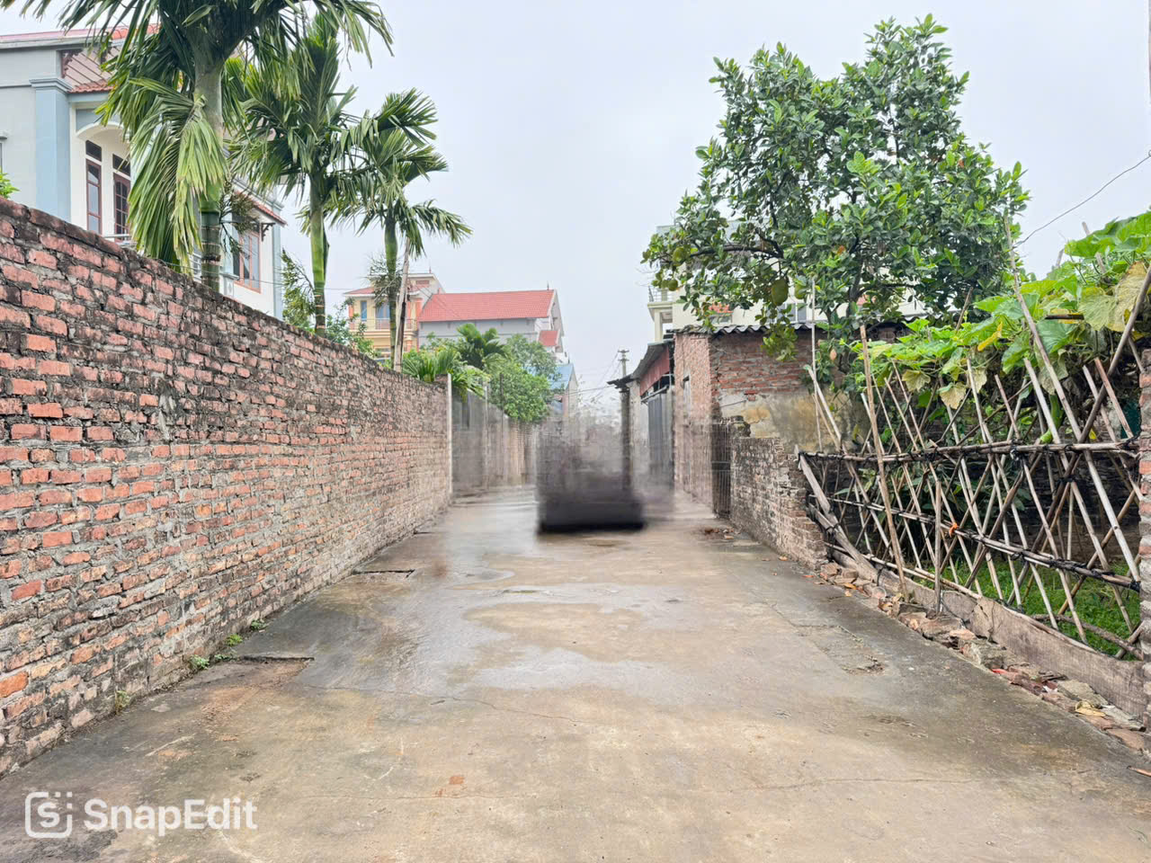 Bán Đất Vị Trí Vàng - Tổ Dân Phố 9, Thị Trấn Quang Minh, Mê Linh, Hà Nội - Ảnh 2