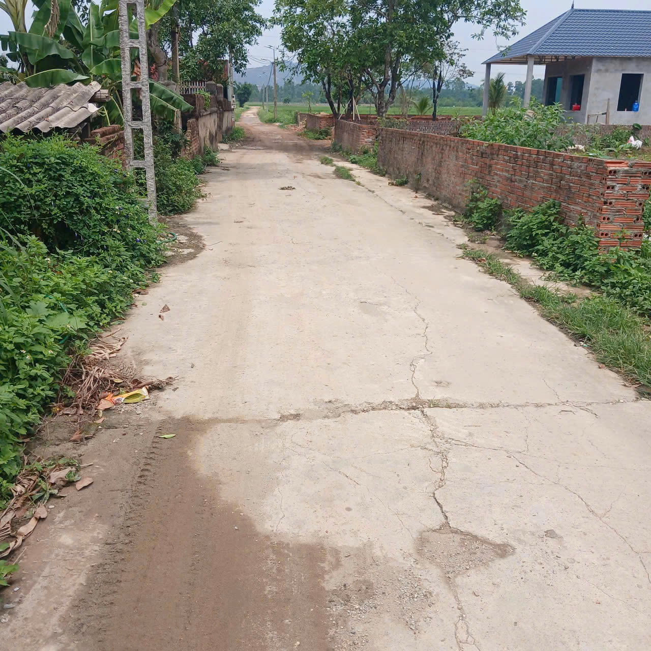 ĐẤT ĐẸP - GIÁ TỐT - Chính Chủ Bán Gấp 2 Lô Đất 400 & 410m2 tại Lập Trí, Minh Trí, Sóc Sơn, Hà Nội - Ảnh 3