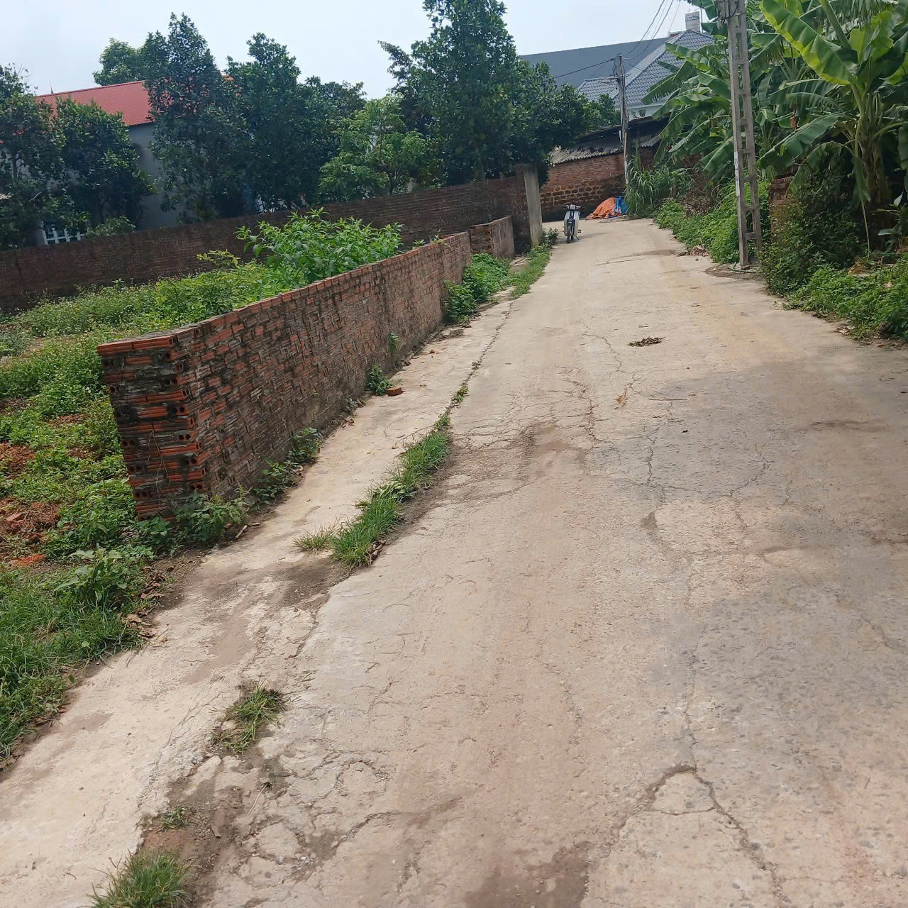 ĐẤT ĐẸP - GIÁ TỐT - Chính Chủ Bán Gấp 2 Lô Đất 400 & 410m2 tại Lập Trí, Minh Trí, Sóc Sơn, Hà Nội - Ảnh 4