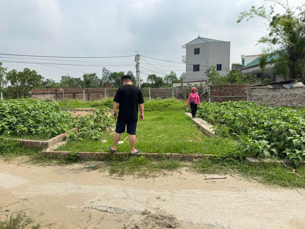 Đất đẹp tổ 9, TT Quang Minh, Mê Linh. Đường thông, oto đỗ. Gần KCN và trường CD - Ảnh 2