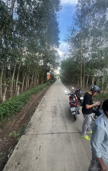 ĐẤT ĐẸP GẦN TRUNG TÂM BÀU CẠN – CÁCH CHỢ CHỈ 600M, GIÁ CỰC TỐT - Ảnh 1
