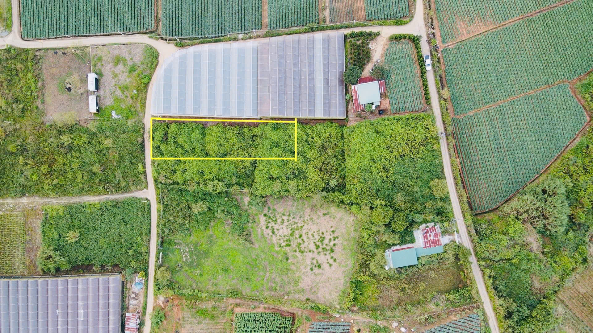 Đà Lạt còn sót lại 1 lô sổ riêng gần 700m2 - đường bê tông lớn - giá đầu 2 chấm - Ảnh chính