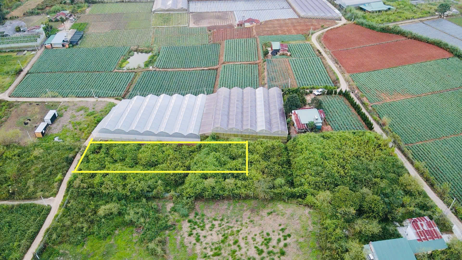 Đà Lạt còn sót lại 1 lô sổ riêng gần 700m2 - đường bê tông lớn - giá đầu 2 chấm - Ảnh 1