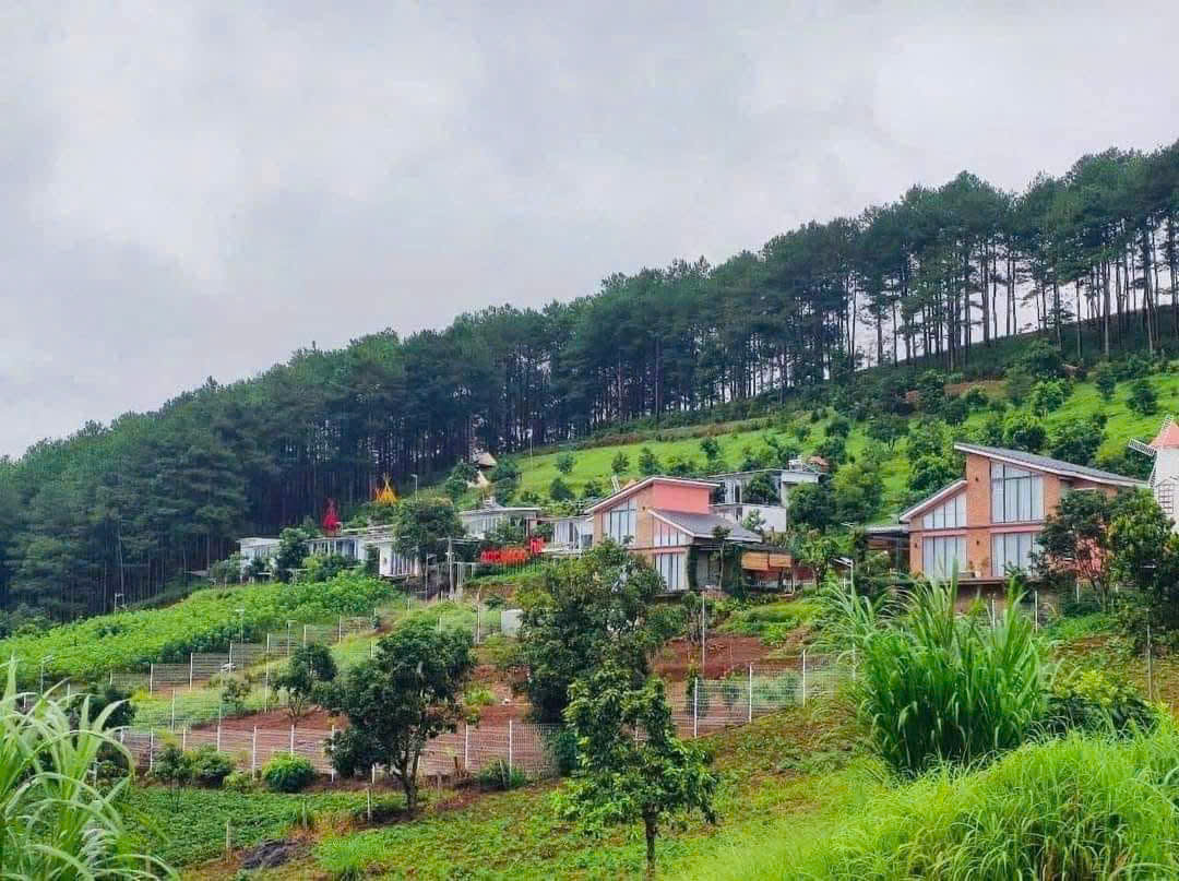 ĐẤT ĐẸP - GIÁ TỐT - Vị Trí Đắc Địa Tại Thôn 2 Mê Linh, Lâm Hà, Lâm Đồng - Ảnh 1