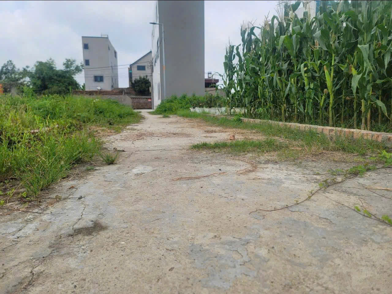 Bán đất tổ 10, TT Quang Minh, Mê Linh. Lô góc 3 mặt thoáng cực đẹp, gần KCN. Đất ở 100% - Ảnh chính