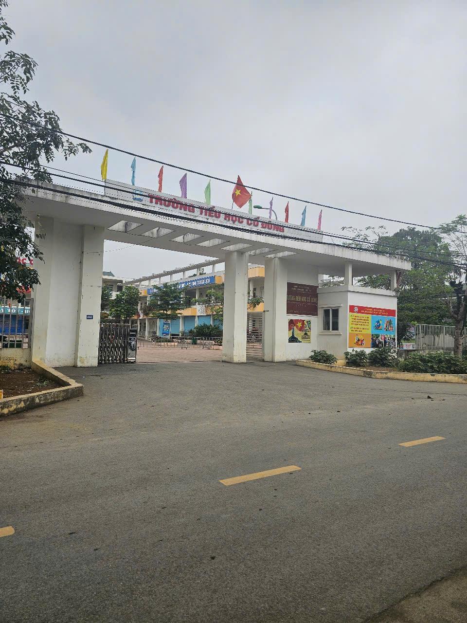 Bán lô siêu phẩm gần Ngã Tư Lục Quân đường thênh thang giá đầu tư nhỉnh 20tr - Ảnh 2
