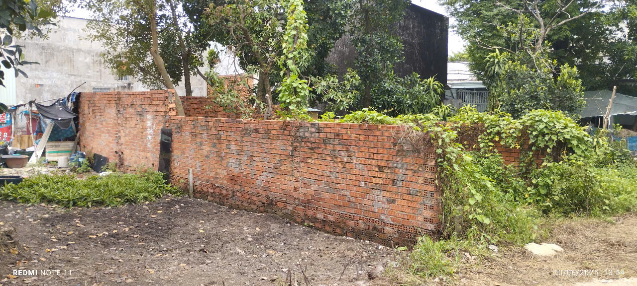 Bán gấp 60m2 đất trồng cây lâu năm Lê Văn Khương, Đông Thạnh Hóc Môn - Ảnh chính