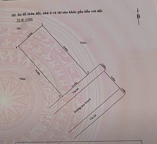 Bán đất biệt thự 373m2 ngang 12,5m  khu phân lô cao cấp Đồng Bồ, Đằng Hải, Hải An, Hải Phòng - Ảnh 2