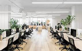 VĂN PHÒNG NGAY CỬA NGÕ THẢO ĐIỀN 80m 10tr/tháng - Ảnh 2
