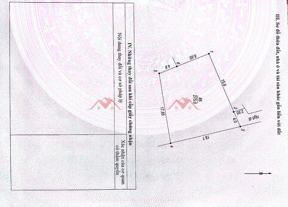 BÁN BIỆT THỰ 275M TẠI ĐỒI HỌA SỸ TIÊN PHƯƠNG-CHƯƠNG MỸ-HÀ NỘI - Ảnh 4