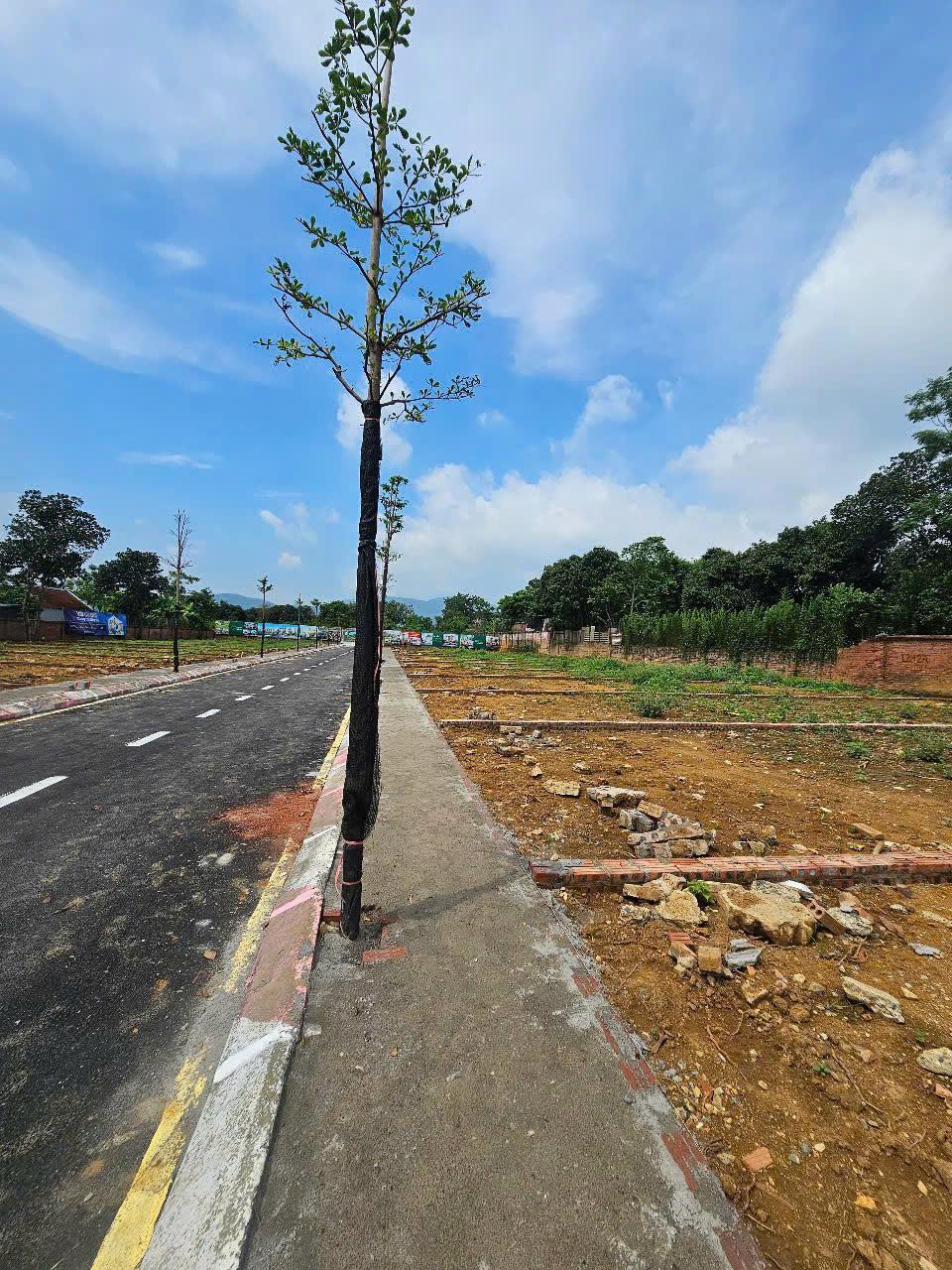 Bán đất đầu tư vị trí đẹp Vai Réo đường thông rộng ôtô tránh 105m nhỉnh 4ty - Ảnh 3