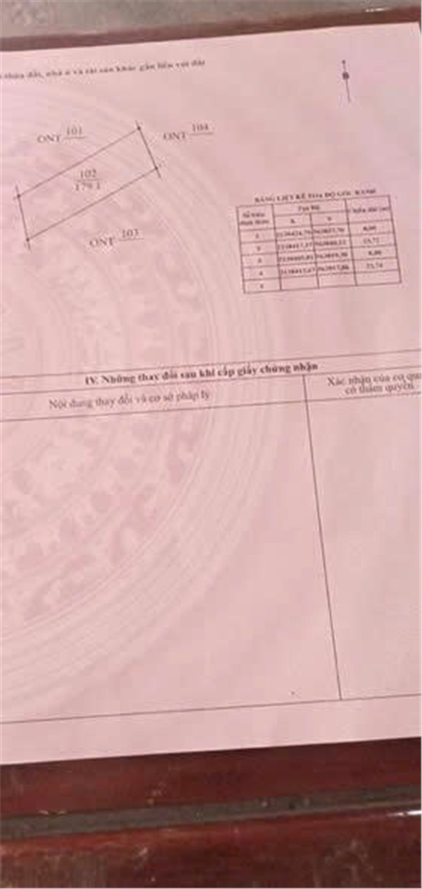 ĐẤT ĐẸP - GIÁ ĐẦU TƯ RẺ - CHÍNH CHỦ CẦN BÁN 2 Lô Đất Vị Trí Đẹp TẠI Đại Sơn, Đô lương, Nghệ An - Ảnh 2