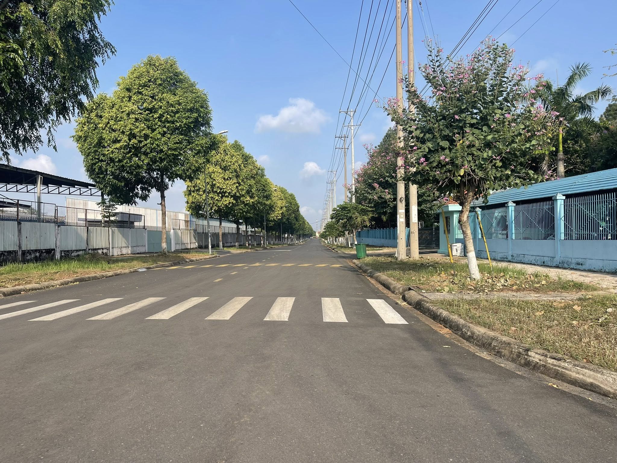 Giá 785 tr (bao sổ) đất ở cạnh KCN Bàu Xéo - Ảnh 1