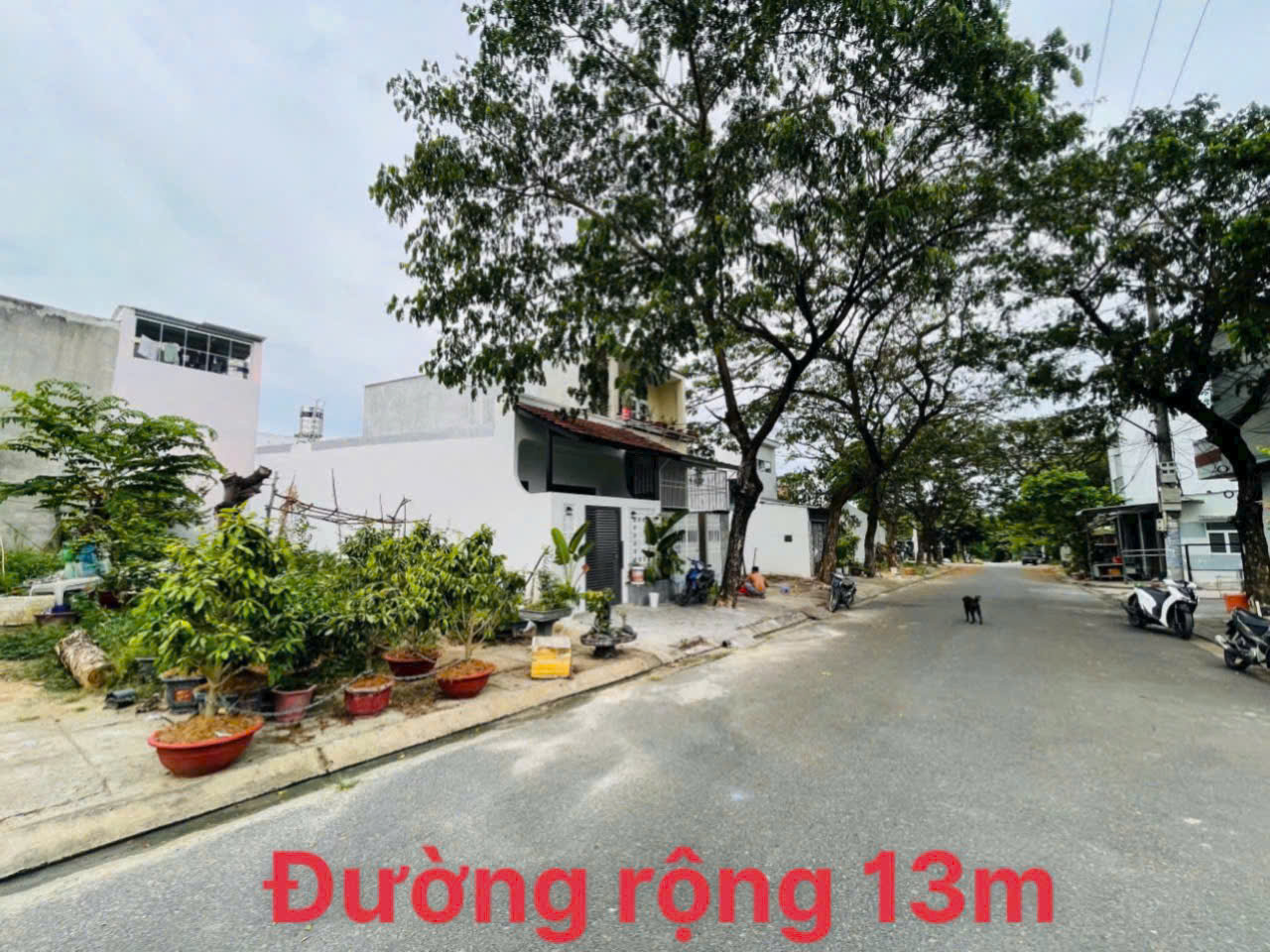 Bán lô đất tái định cư đất lành đường 13m lô sạch đẹp giá 2 tỉ 700 triệu.<br>Diện tích : 64m2 ngang - Ảnh 1