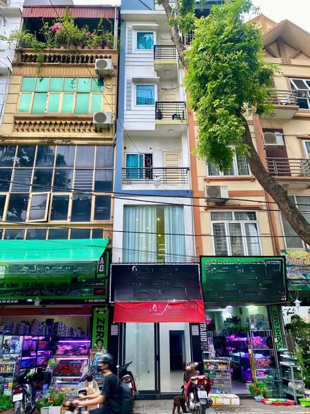 CHO THUÊ CỬA HÀNG MẶT PHỐ HOÀNG HOA THÁM - Ảnh chính