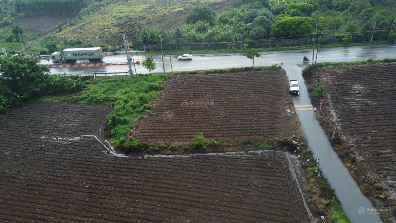 Đất ngân hàng 2 mặt tiền đường Số 1 gần 2 KCN 941m² chỉ 5.6 tỷ cơ hội F0 - Ảnh 2