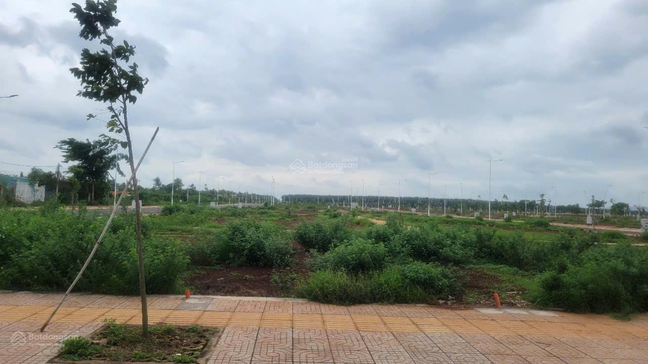 Cần bán gấp 3 lô đất tái định cư Ngãi Giao Gần trường học, chợ full thổ cư 1,3 tỷ TL mạnh - Ảnh 1