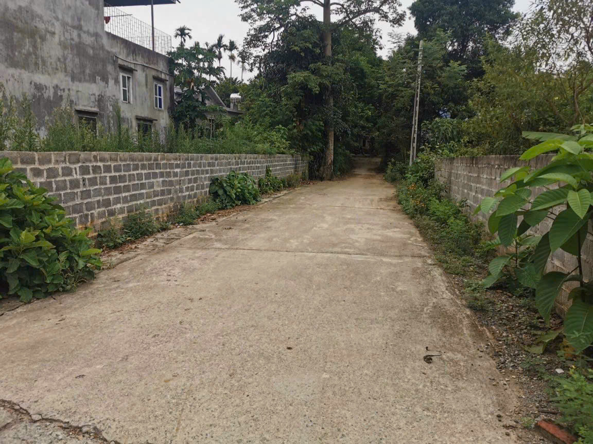 Chính Chủ bán mảnh đất 120m2 full thổ cư, Đồng Vàng, Phú Mãn, Quốc Oai, Hà Nội - Ảnh 1