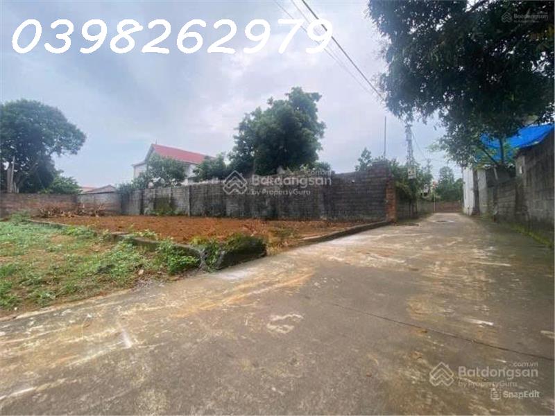 Bán đất chính chủ 229,7m2 có 100m2 thổ cư tại Thôn Yên Thái, Xã Đông Yên, Quốc Oai - Ảnh 1