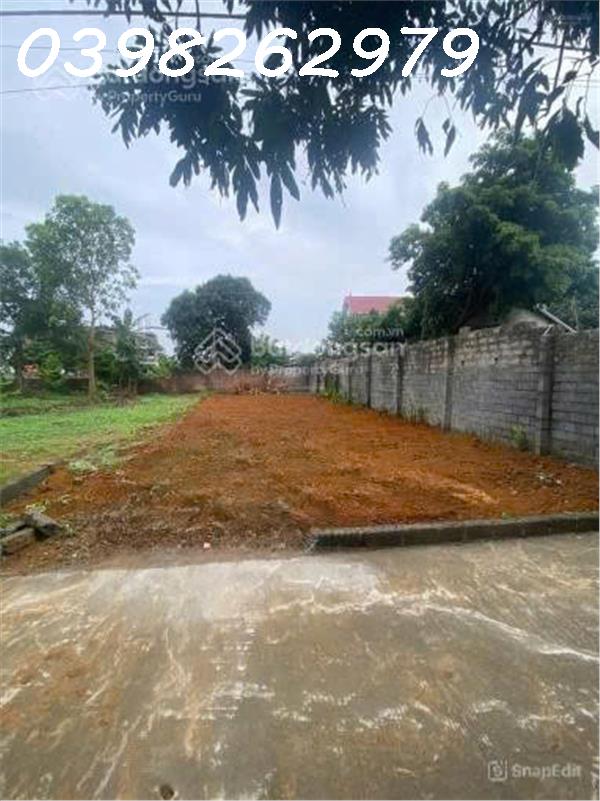 Bán đất chính chủ 229,7m2 có 100m2 thổ cư tại Thôn Yên Thái, Xã Đông Yên, Quốc Oai - Ảnh 2