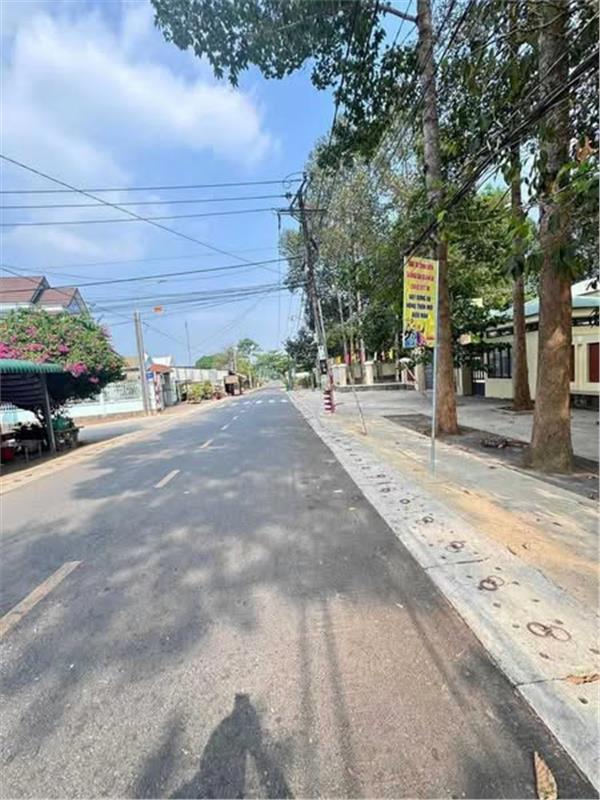 BÁN NHANH LÔ ĐẤT QUY MÔ LỚN TẠI MỸ PHƯỚC – BẾN CÁT, BÌNH DƯƠNG - Ảnh 2