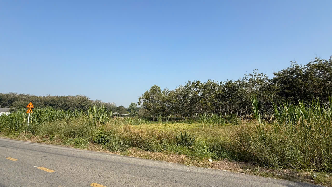 VỊ TRÍ ĐẸP- GIÁ ƯU ĐÃI- Cần bán Đất mặt tiền đường Xã An Nhơn Tây, Củ Chi, Tp Hồ Chí Minh - Ảnh 4