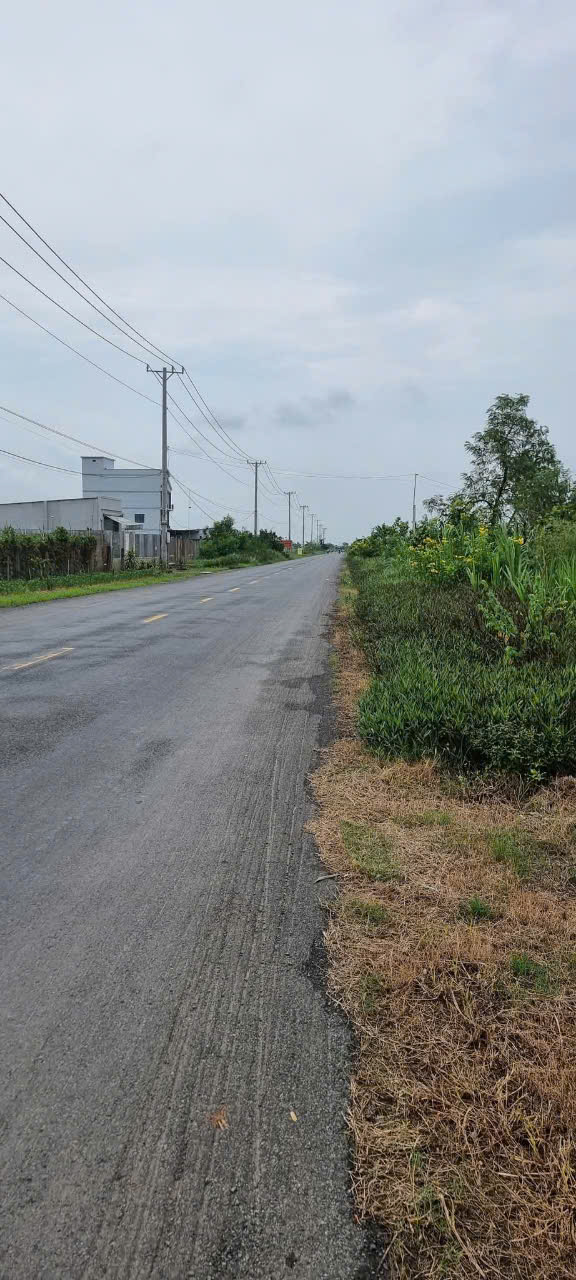 ĐẤT ĐẸP - GIÁ TỐT - Bán GẤP Lô Đất Mặt tiền nhựa tỉnh lộ 872B, xã Bình Tân, Gò Công Tây, Tiền Giang - Ảnh 3
