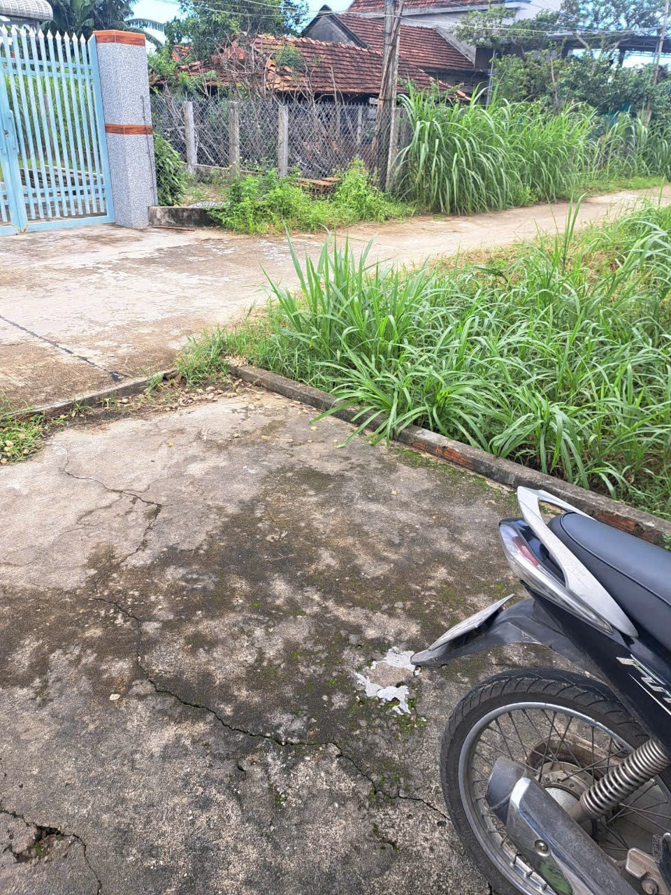 Cần bán đất nền trồng cây hằng năm tại Xã Mộ Đức, Quảng Ngãi - Ảnh 3