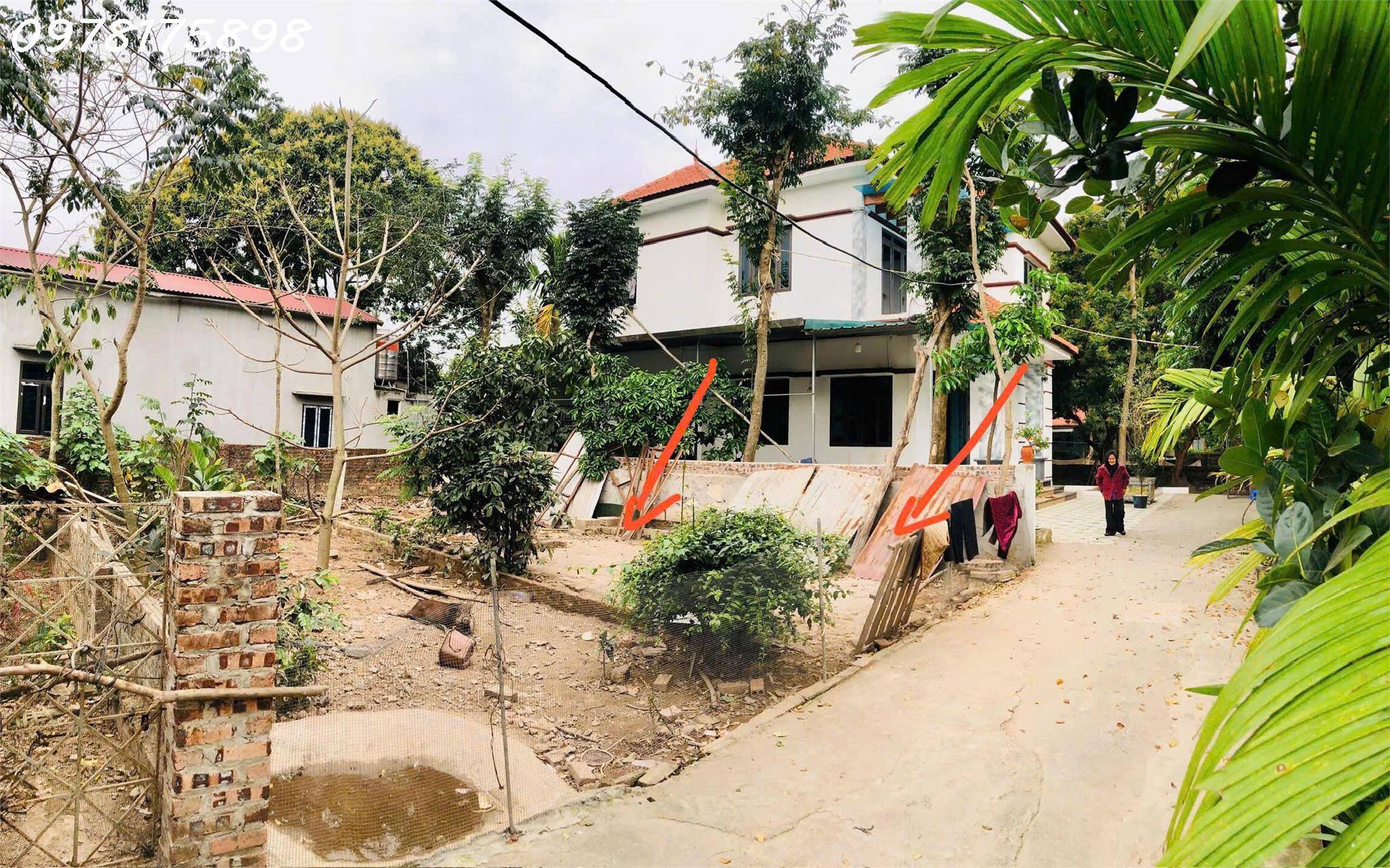 Siêu phẩm đất vành đai 4 Đại Thành, Quốc Oai, Hà Nội, DT 54.9m2, giá dầu tư - Ảnh 1