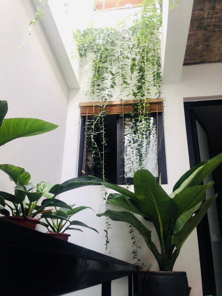 Bán nhà 50m x 4T khu 918 Phúc Đồng, phân lô oto tránh, vỉa hè, an sinh đỉnh giá hơn 13 tỷ có tl. LH - Ảnh 1