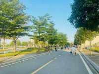 Bán gấp đất Khu đô thị mới Quang giáp phường Thạch Khôi, thành Phố Hải Dương giá đầu tư - Ảnh 4